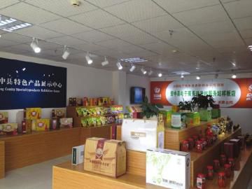 2025年服贸会开幕 85个国家和国际组织设展办会